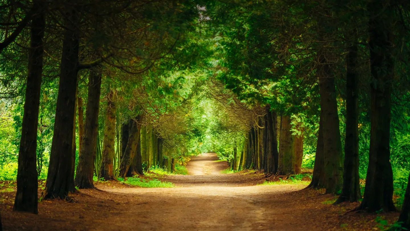 Sattva Green Groves — official project imagery